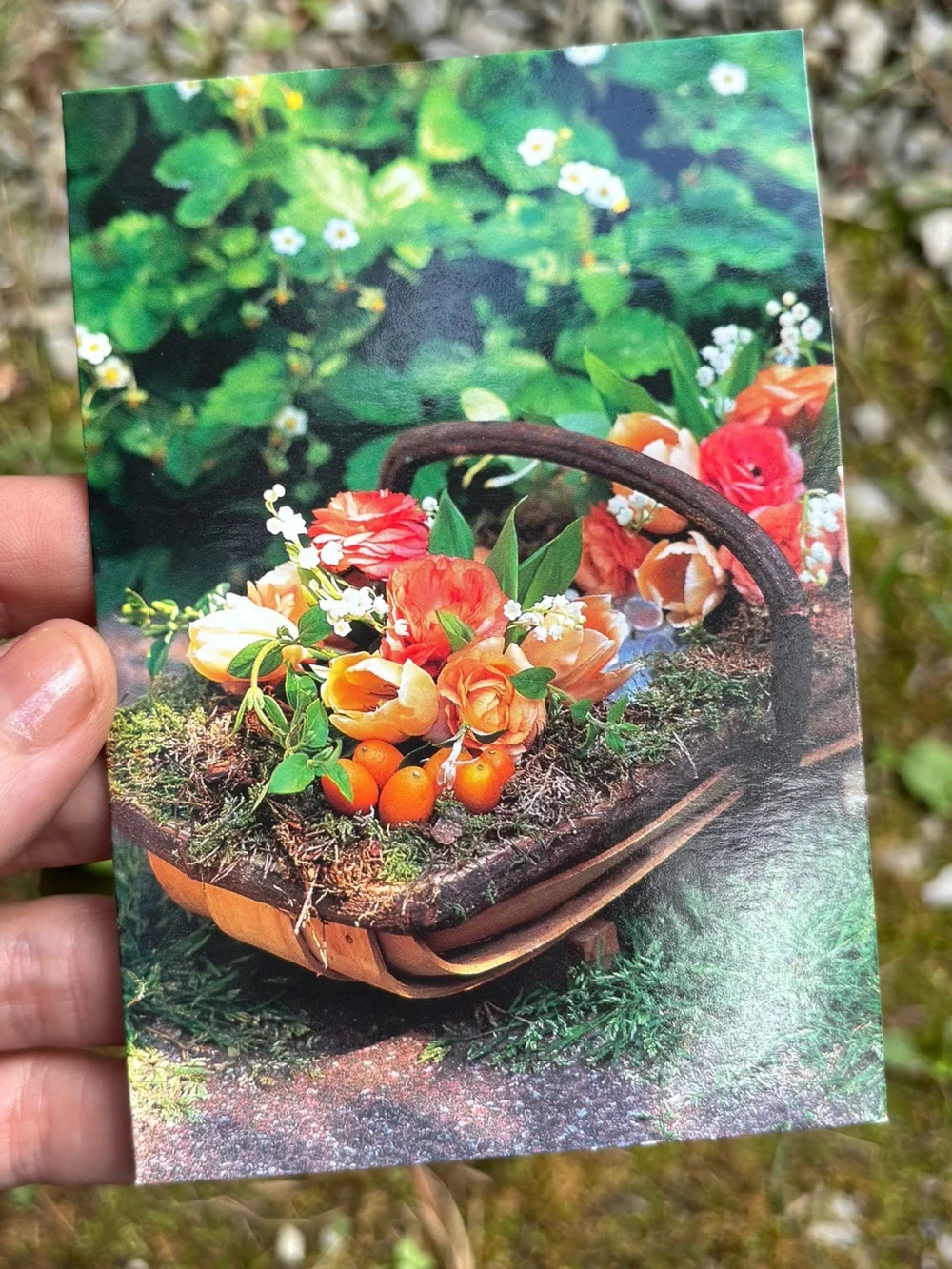 Vintage Nature Greeting Cards Set of 3 Leanin' Tree WWF Flower Basket